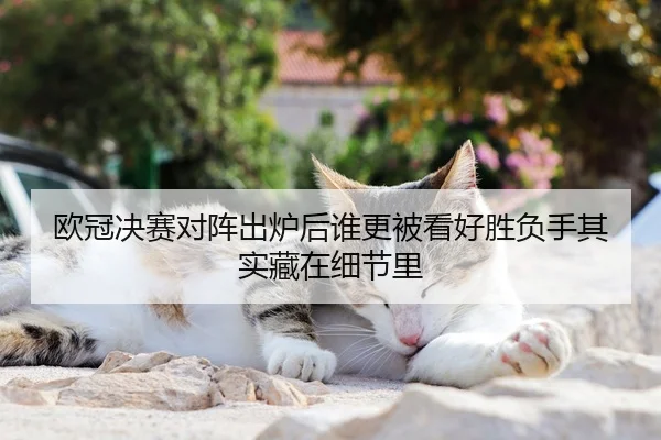 ou-guan-jue-sai-dui-zhen-chu-lu-hou-shui-geng-bei-kan-hao-sheng-fu-shou-qi-shi-cang-zai-xi-jie-li-3-113.jpg