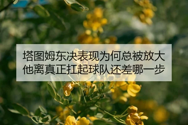 ta-tu-mu-dong-jue-biao-xian-wei-he-zong-bei-fang-da-ta-li-zhen-zheng-kang-qi-qiu-dui-hai-cha-na-yi-bu-2-398.jpg