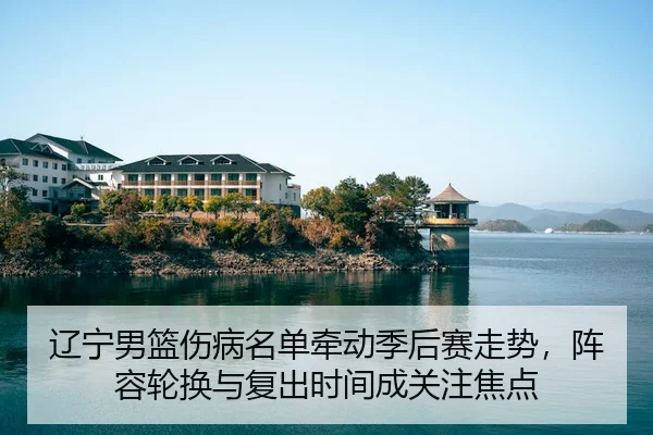 liao-ning-nan-lan-shang-bing-ming-dan-qian-dong-ji-hou-sai-zou-shi-zhen-rong-lun-huan-yu-fu-chu-shi-jian-cheng-guan-zhu-3-628.jpg